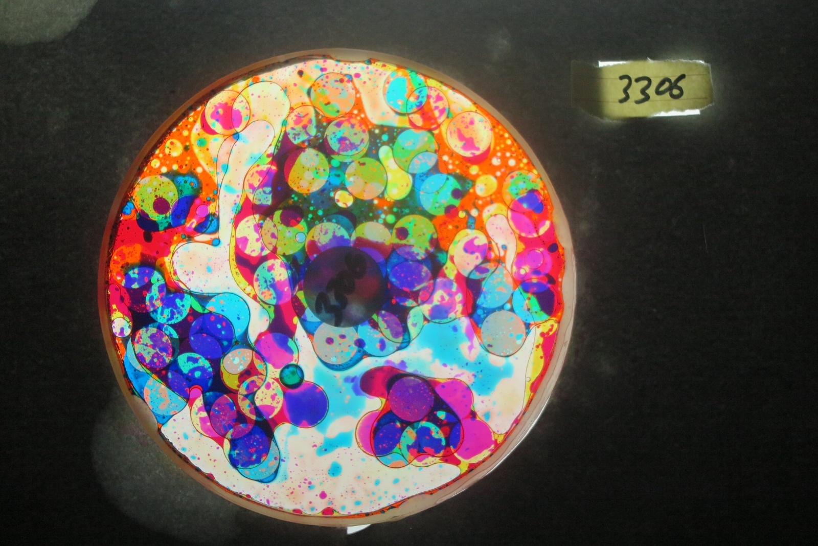 BV3306 bubble vision oil wheel